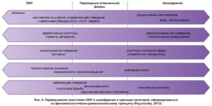 ОКР И ЛИССОФОБИЯ или шизофрения?