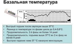 Ломает тело и температура перед месячными