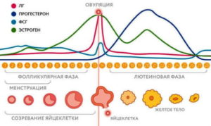 Плохое самочувствие, после менструального цикла