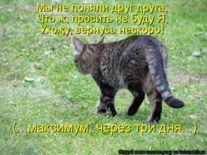 Не понимаем друг друга