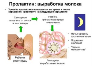 Повышен пролактин, мастопатия, нарушен цикл, частые стресы