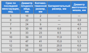 Срок беременности по размеру плодного яйца