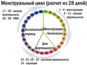 Как рассчитать цикл при приеме ок