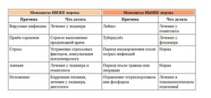 Моноциты повышены у ребенка