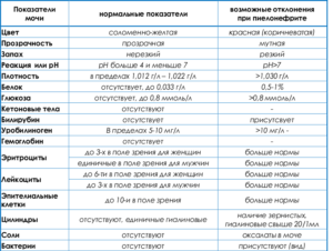 Остаётся белок в моче после лечения цистита