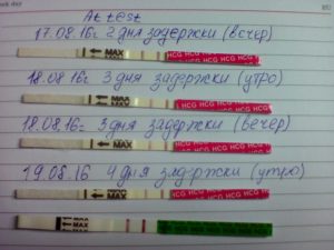 Задержка месячных 2 месяца тест отрицательный