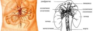 Ощущение сердцебиения в области солнечного сплетения