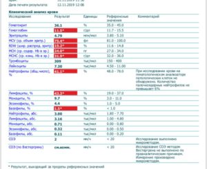 Повышены лимфоциты и базофилы и понижены нейтрофилы