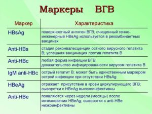 Что значит Anti-HBs положительный?