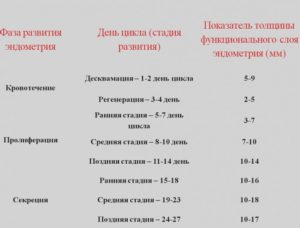 Норма эндометрия после месячных