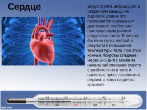 Ноет сердце после простуды