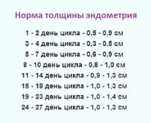 Норма эндометрия после месячных