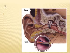 Левое ухо плохо слышит