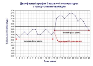 Почему не поднимается базальная температура после овуляции?