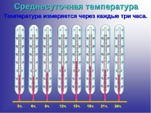 Температура через каждые 4 часа