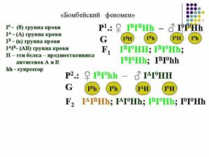 Бомбейский феномен