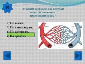 Слышно как кровь течет по сосудам
