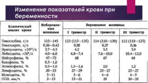 Лейкоциты в крови при беременности