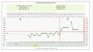 Возможна ли беременность на 29 день цикла?