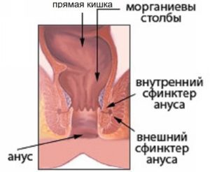 Спазм анального сфинктера