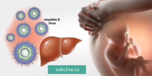 Гепатит в и ЭКО