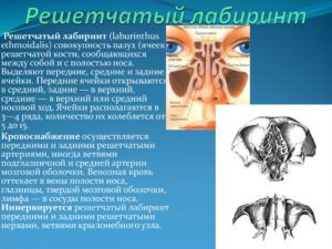 Завуалированность клеток решетчатого лабиринта