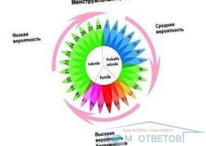 Ввероятность беременности за 5 дней до овуляции