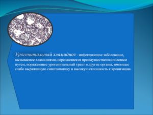 Урогенитальный тракт