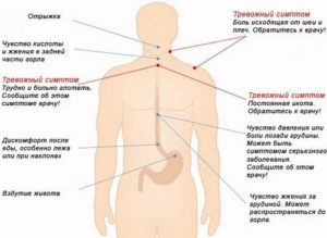 Чувство голода и жжение в желудке