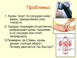 Слышно как кровь течет по сосудам