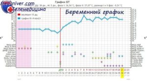 К вечеру при беременности поднимается температура