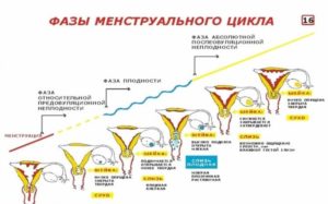 Плохое самочувствие, после менструального цикла