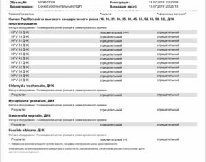 Hpv 16 днк