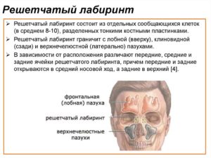 Завуалированность клеток решетчатого лабиринта