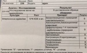 Стрептококк агалактия в моче при беременности 10 в 5