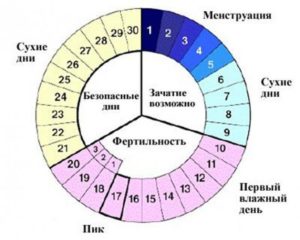 Какова вероятность забеременеть на 20 день цикла