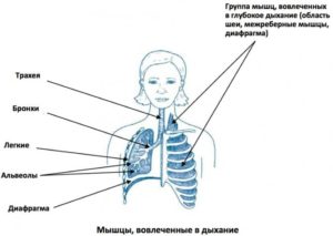 Остановка и ощущение перехватывания дыхания