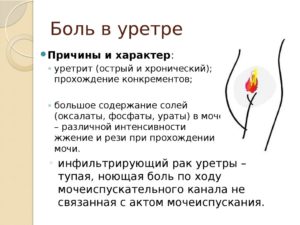 Неприятные ощущения после мочеиспускания и боли в области клитора