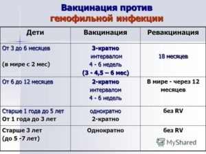 Прививка против гемофильной инфекции после 2х лет