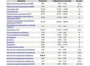 Повышенные базофилы и моноциты у ребёнка 2,5 года