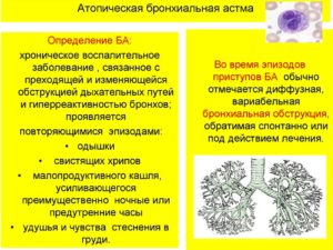 Атопическая астма или предастма?