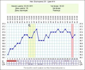 Возможна ли беременность на 29 день цикла?