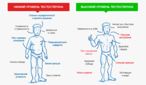 Высокий пролактин, низкий тестостерон