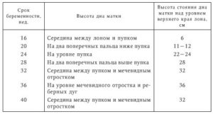 Высота дна матки в 16 недель меньше нормы