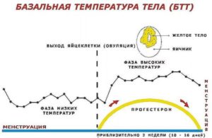 Ломает тело и температура перед месячными