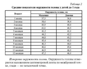 Размеры головы в 3 месяца