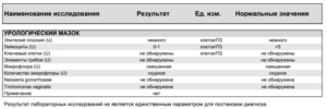 Расшифровка мазка у мужчины