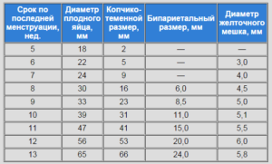 Размеры плодного яйца и эмбриона