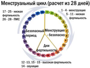 Сбой цикла. Месячные начались через 17 дней