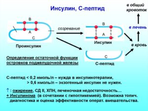 Низкий инсулин и с-пептид